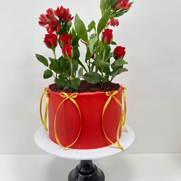 Shop 245 Flower Pot Cake