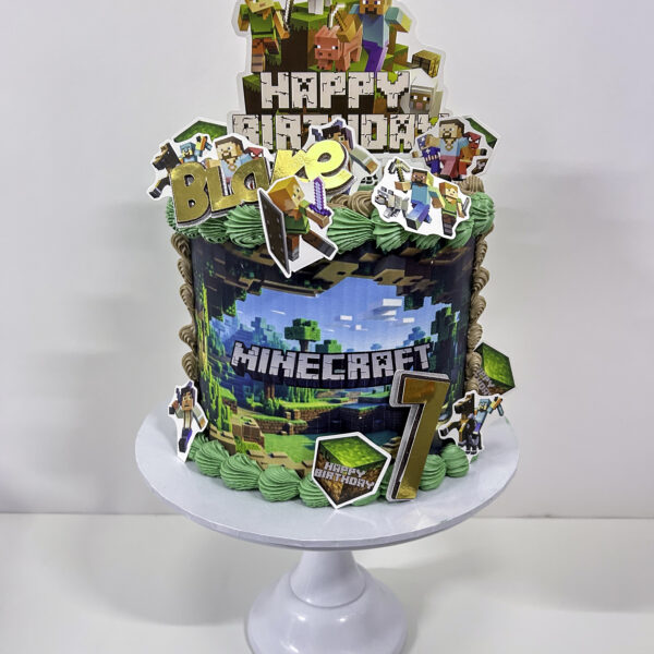 Shop 325 Minecraft cake 2