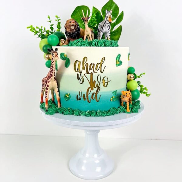 Shop 246 Jungle Cake 2