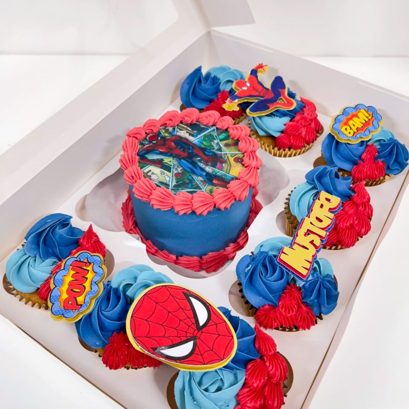 SpiderMan Bento cake