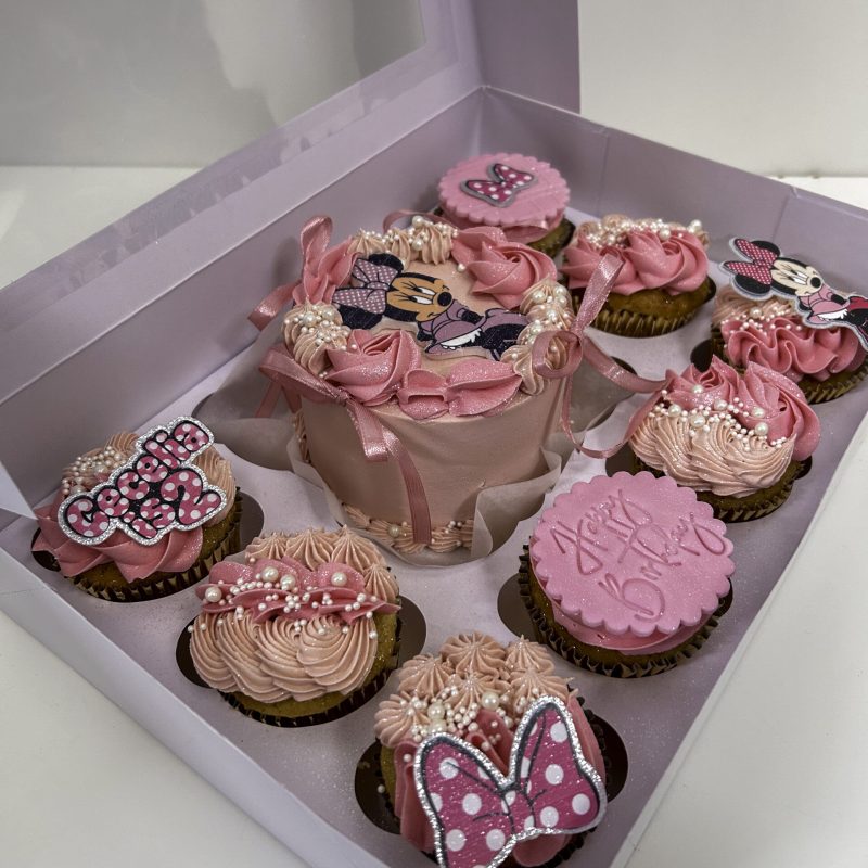 Minnie Mouse Bento Cake