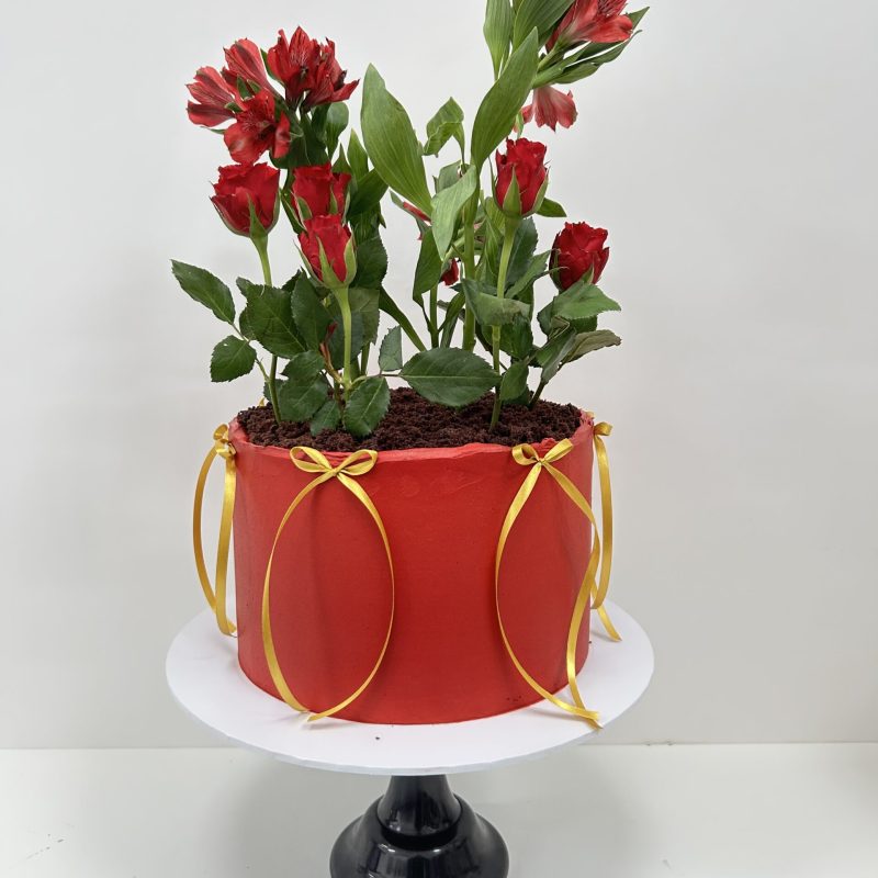 Flower Pot Cake