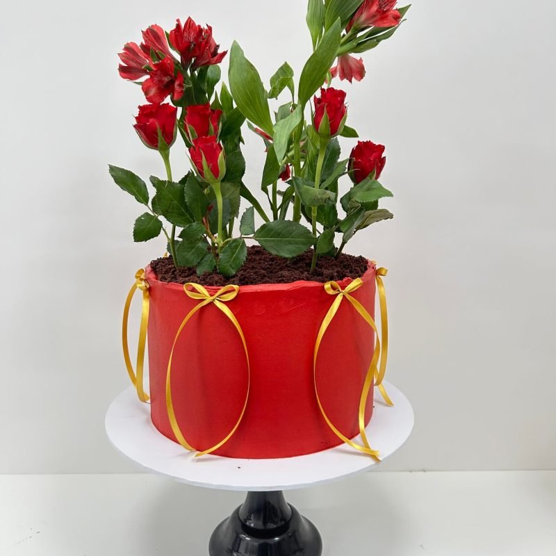 Flower Pot Cake
