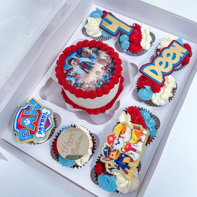 Paw Patrol Bento Cake