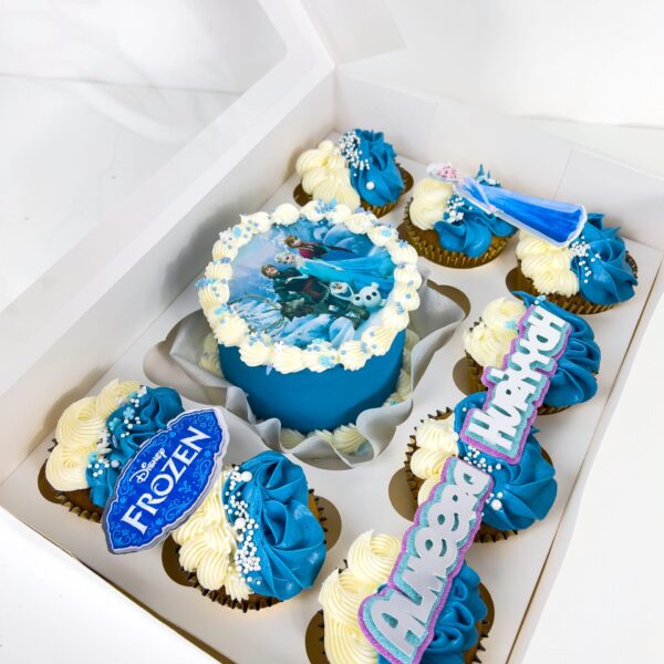 Shop 303 Frozen Bento cake