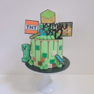 Minecraft Cake Birmingham
