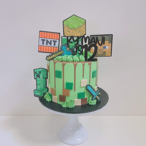 Shop 261 Minecraft Cake Birmingham