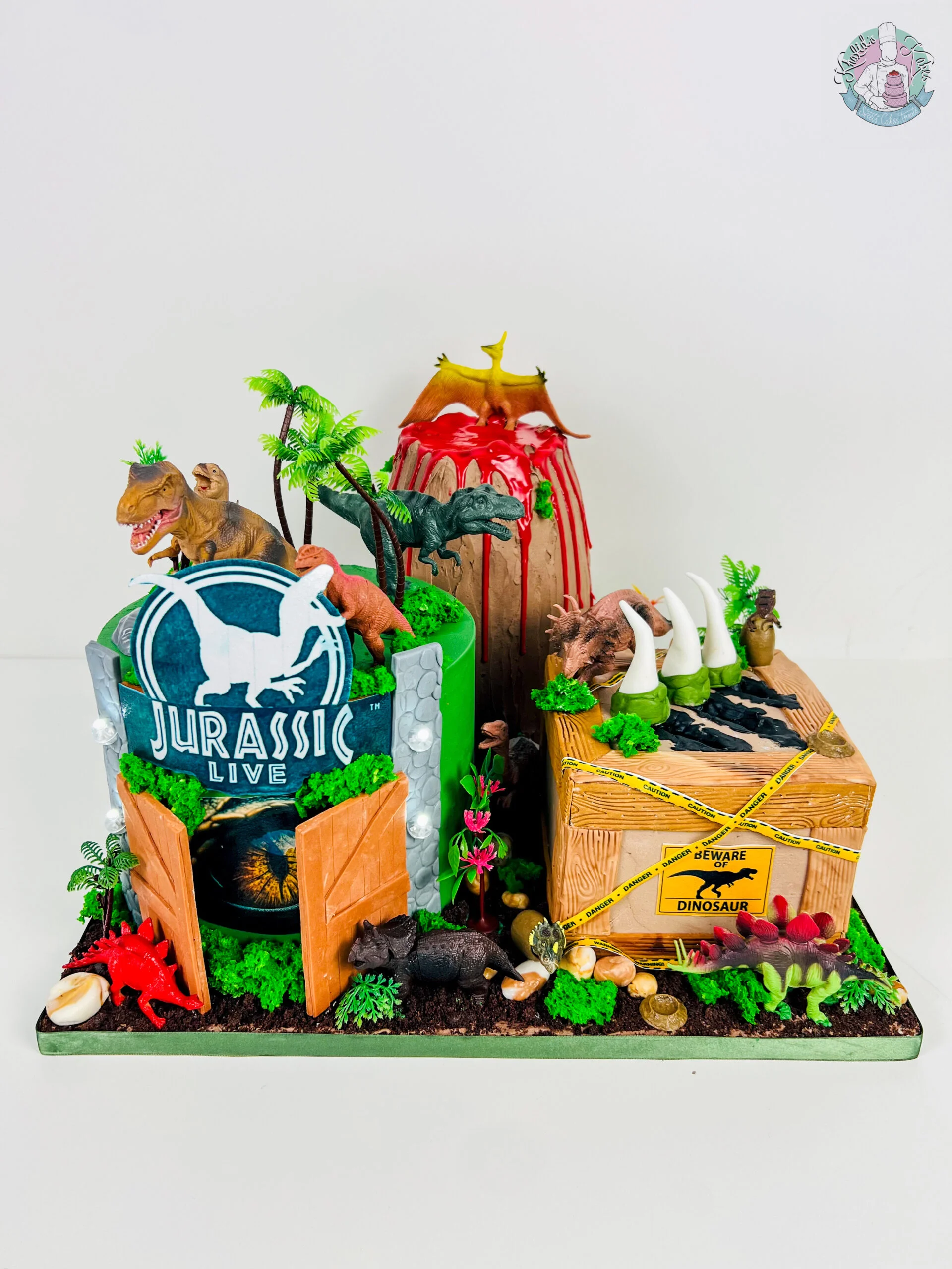 Dinosaur Cake Birmingham
