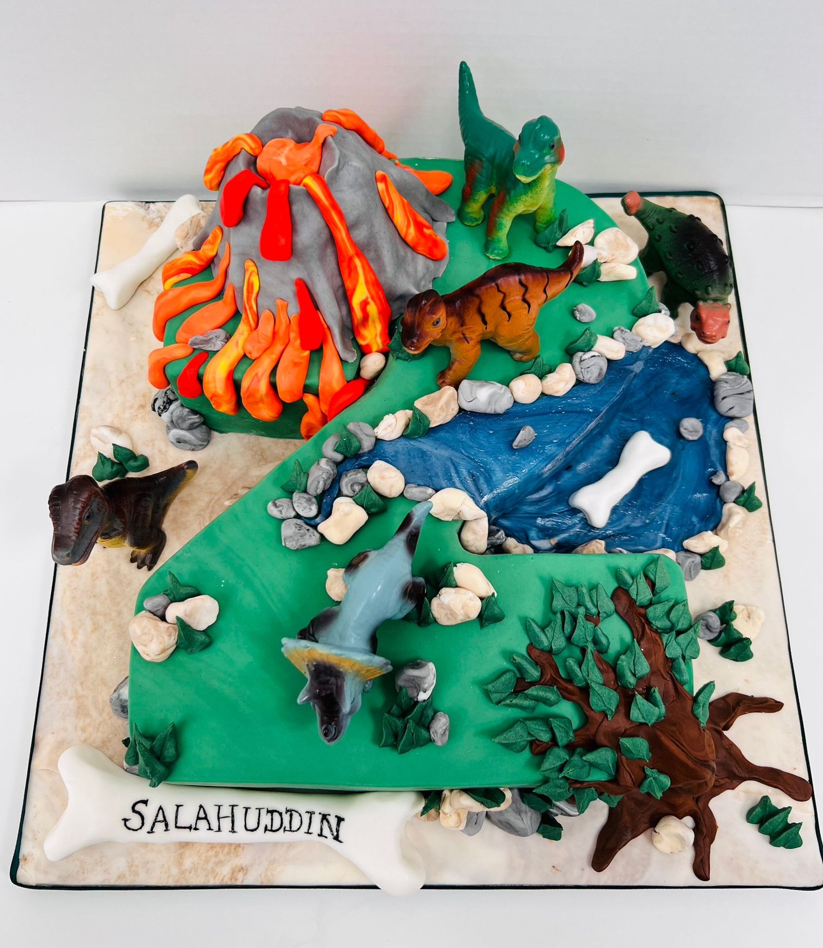 whatsapp image 2025 11 25 at 2.45.53 pm